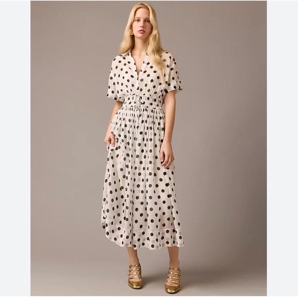 NWOT Elena shirtdress in dot chiffon
